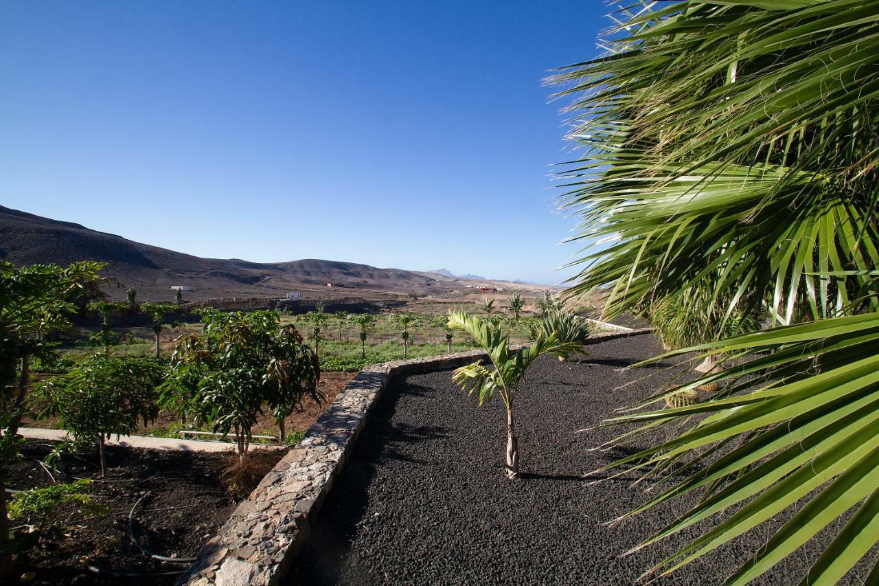 Finca Arbequina Pájara Eksteriør bilde